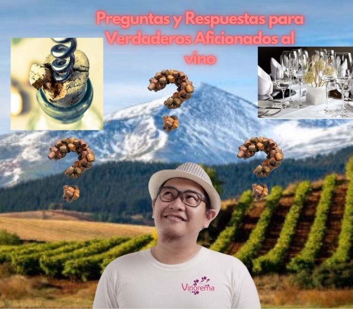 Descubriendo el Fascinante Universo del Vino: Preguntas y Respuestas para Verdaderos Aficionados